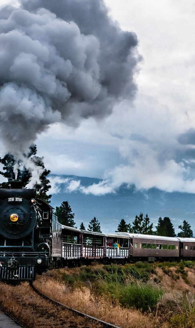 Steam Train