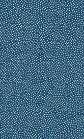 blue and white pokadots