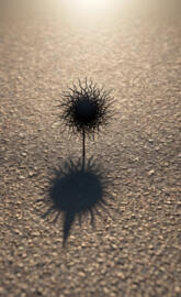 S.Hadow (KR0M3D1A)©️