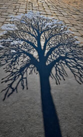 a shadow of a person on a brick surface