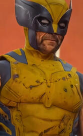 Wolverine fight mode