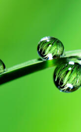 raindrop