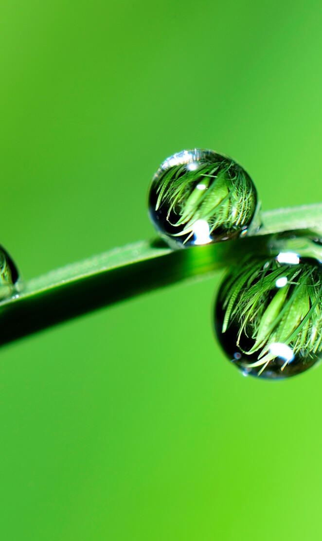 raindrop
