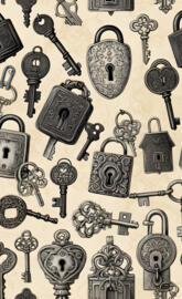 a collection of keys