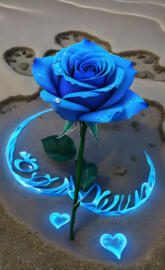 a blue rose on a blue surface