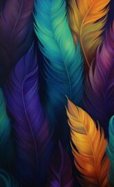 Colorful Feathers