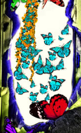 Colorful Butterflies