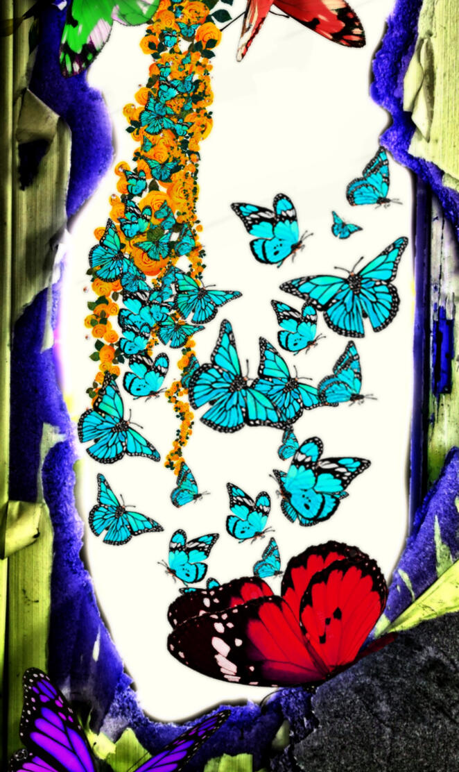 Colorful Butterflies