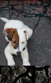 U   ran out of paint