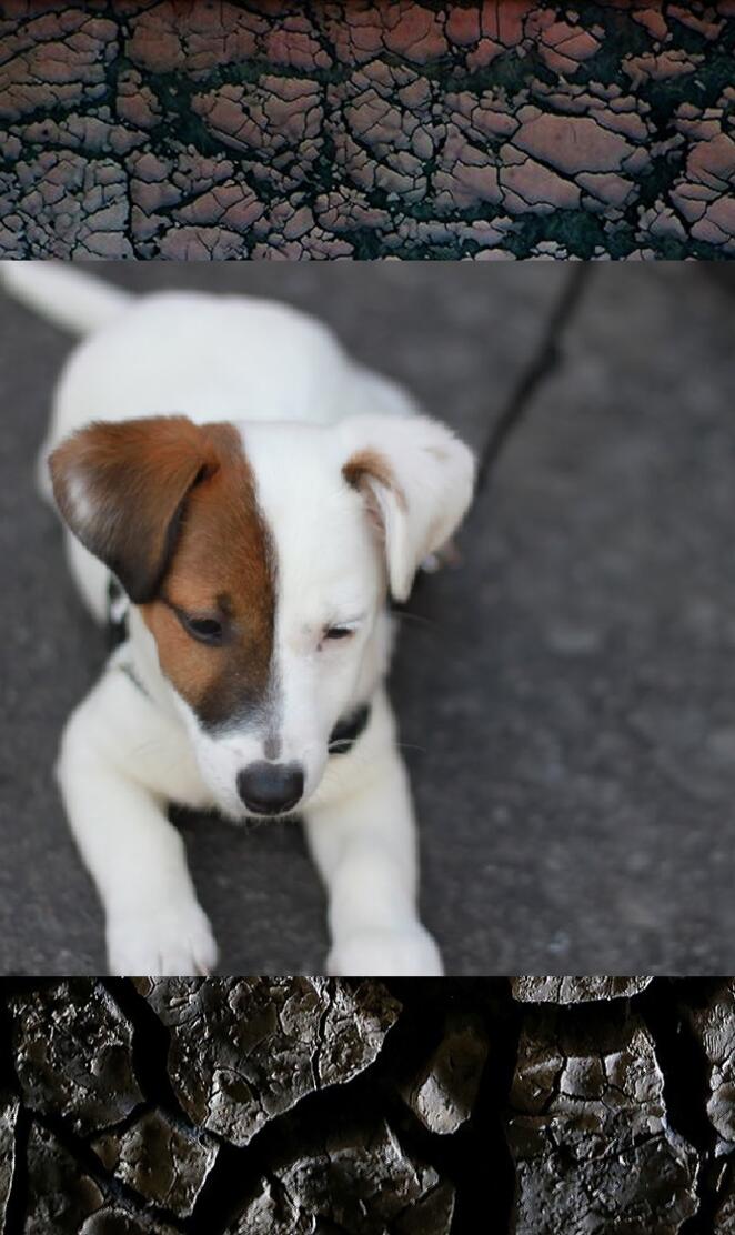 U   ran out of paint