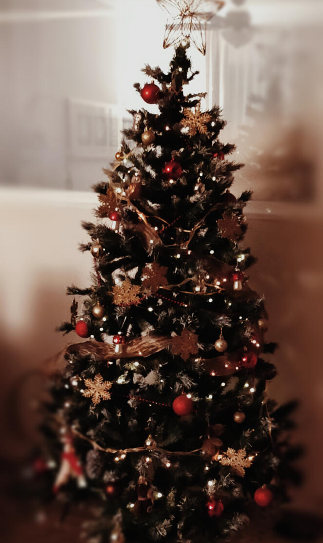 Christmast tree