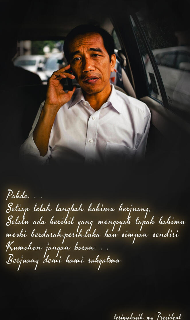 My hero jokowi