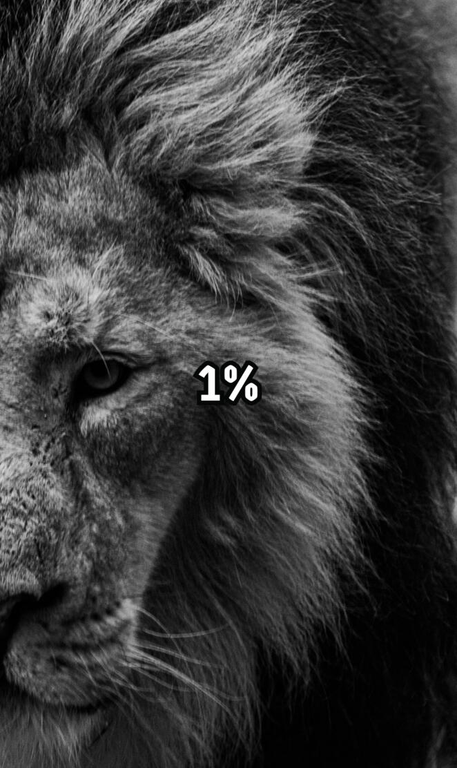 Motivational wallpaper