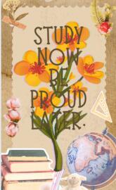 Study motivation