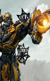 bumblebee transforme