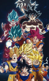 Goku transformations