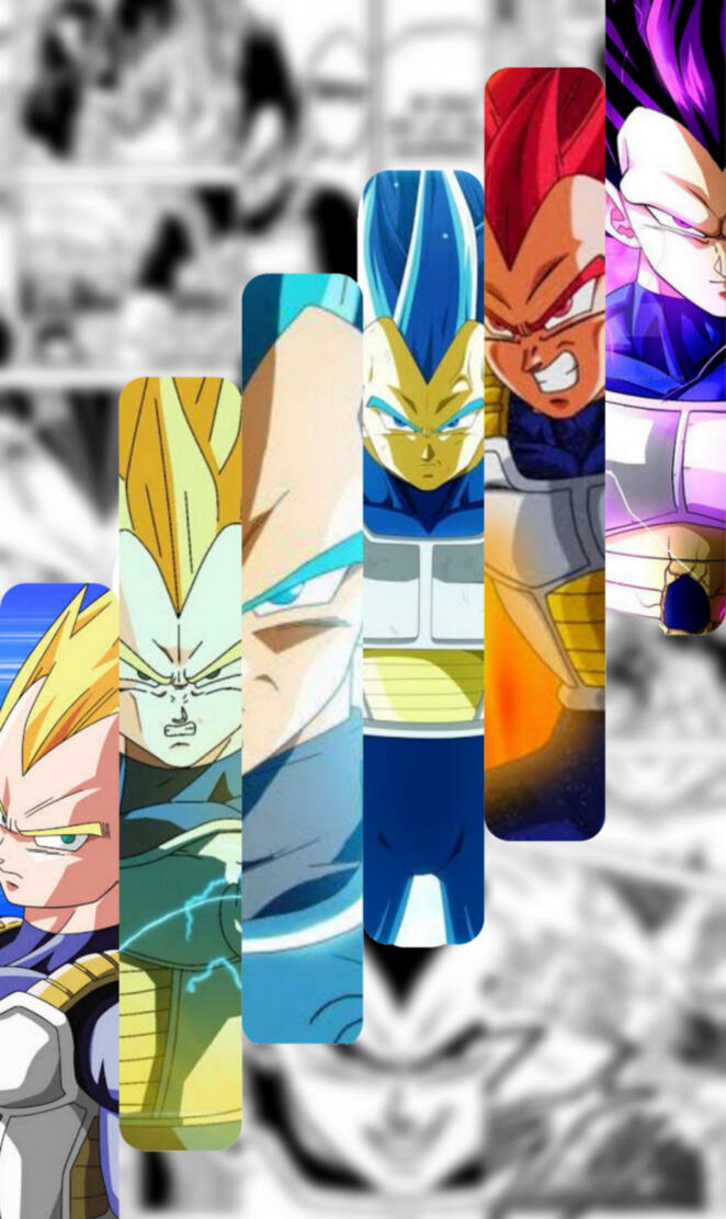 Vegeta transformations