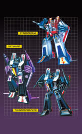 Decepticon Seekers