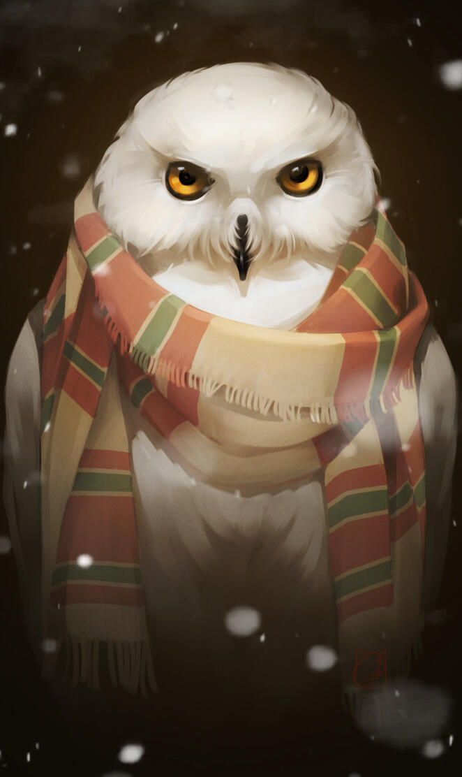 owl beauty