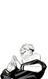 Sukuna Domain Expansion