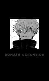 Domain Expansion Bl-