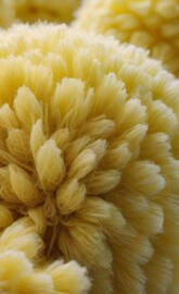 fluffy textile