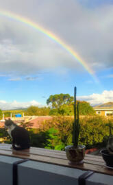 Paisagem Arco Iris