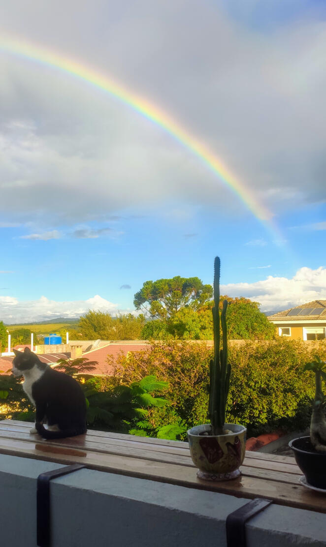 Paisagem Arco Iris