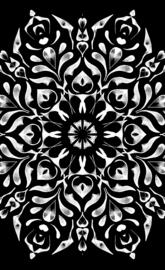 Black and White fili