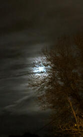 moon from street view