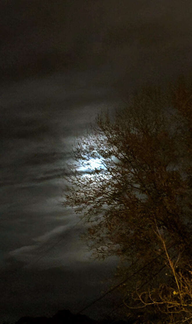 moon from street view