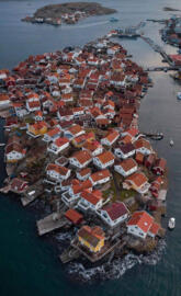 Cluster of Homes 🏘️