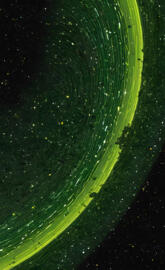 KR0M3D1A designsKR0M3D1A ©️KR0M3D1A ©️KR0M3D1A ©️KR0M3D1A ©️KR0M3D1A ©