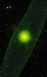 KR0M3D1A designsKR0M3D1A ©️KR0M3D1A ©️KR0M3D1A ©️KR0M3D1A ©️KR0M3D1A ©