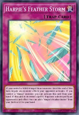 Harpie's Feather Storm