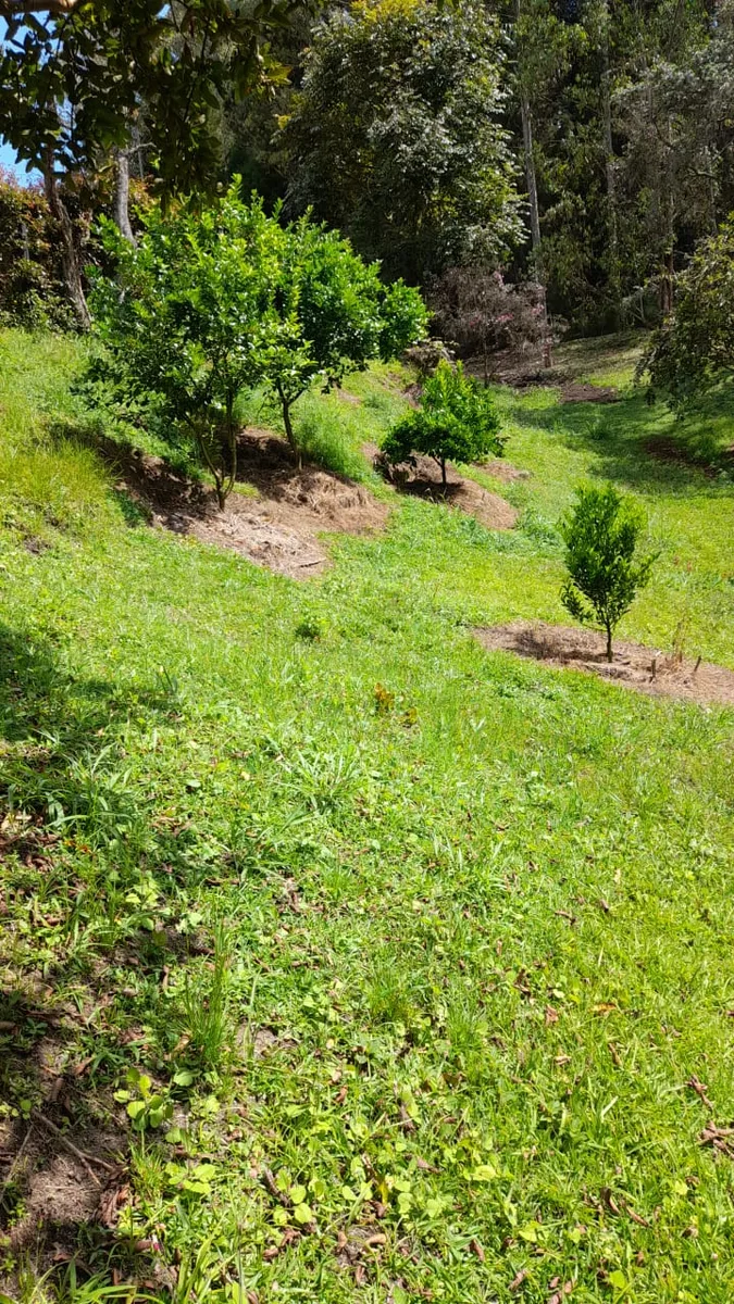 Lote en venta en GUARNE de 5300 m² - Imagen 2
